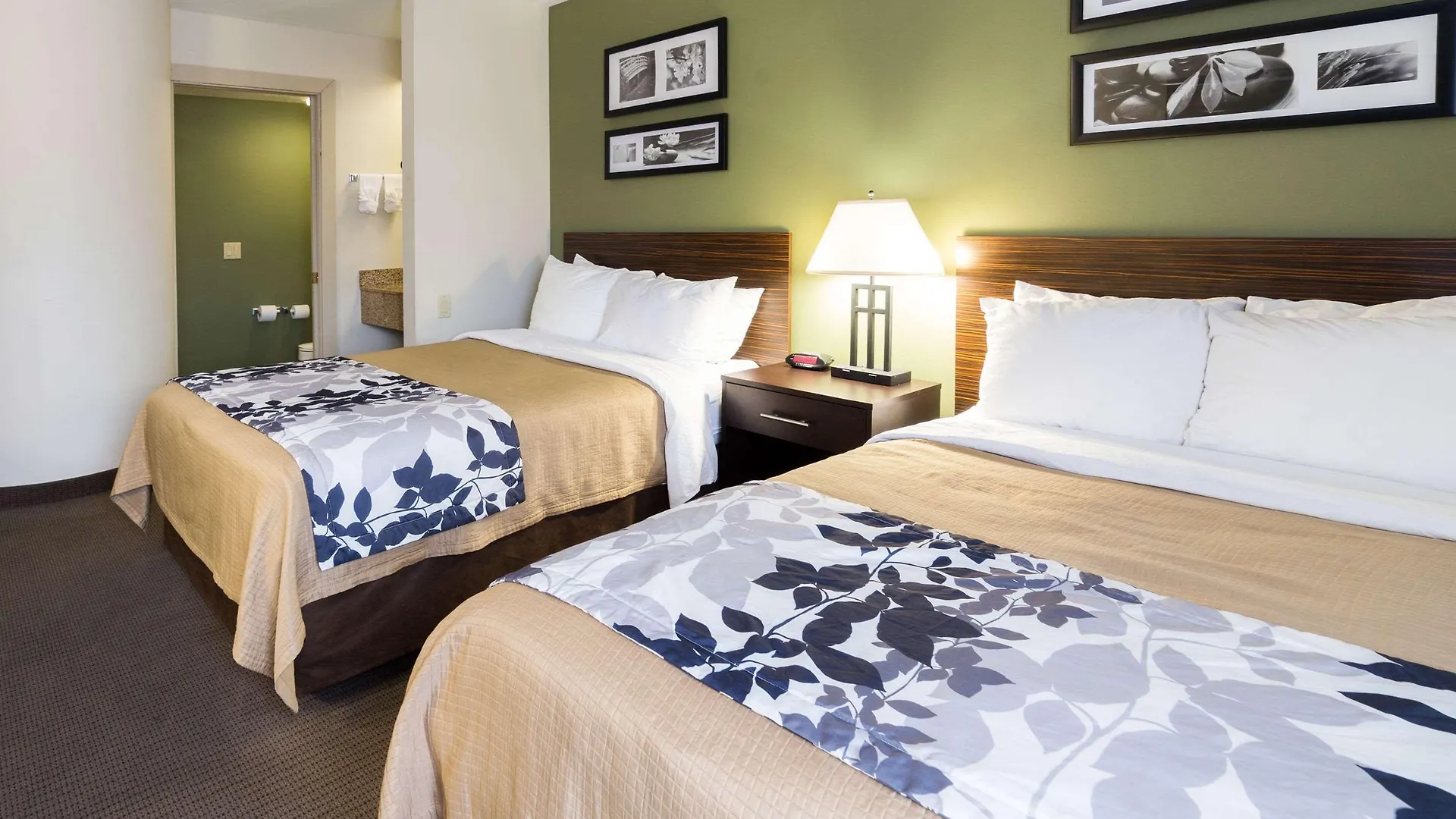 Sleep Inn Airport Phoenix 2*,